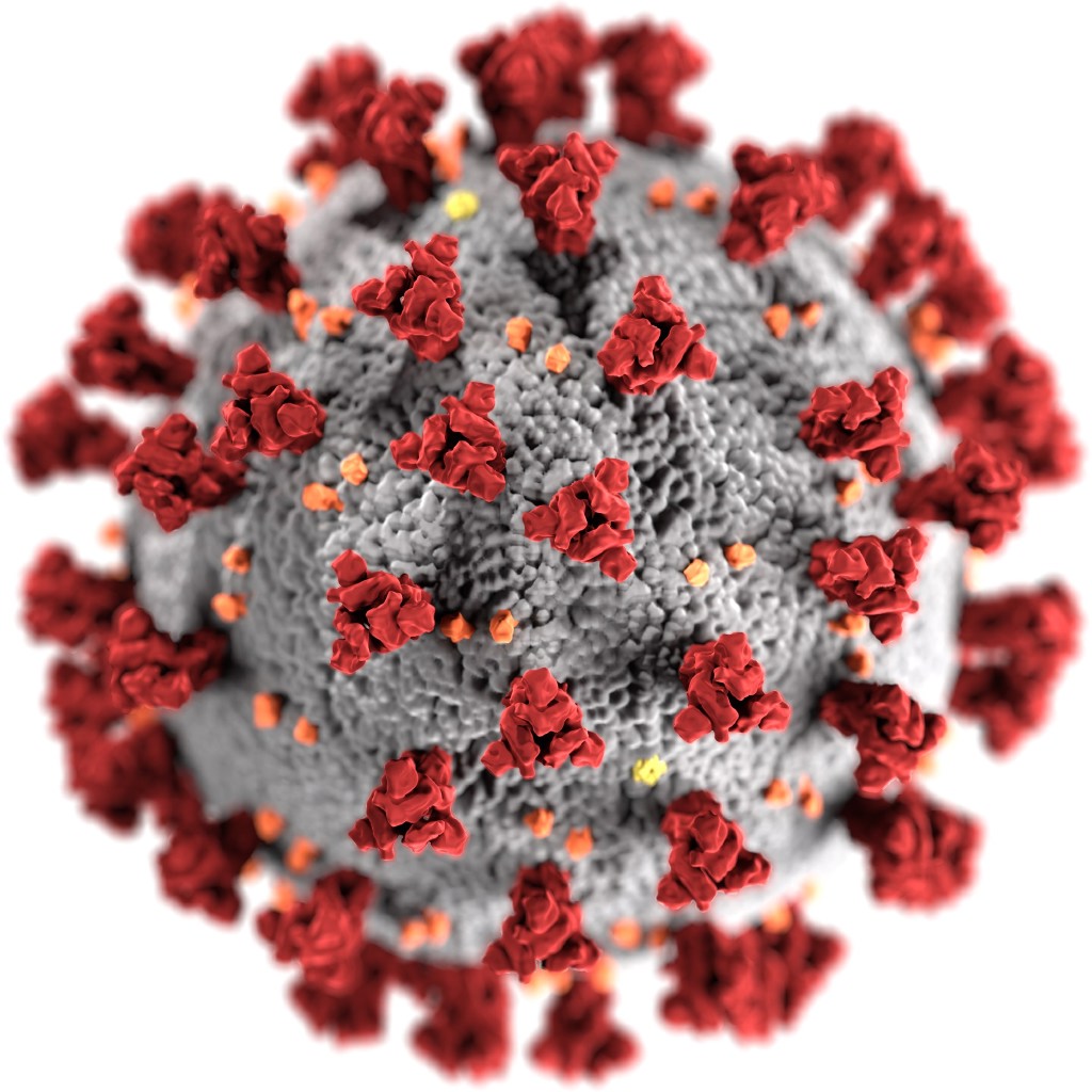 image of SARS-Cov-2 virus